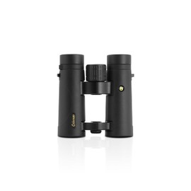 Coleman 8x34 HD Phase Coated Open Bridge Roof Porro Prism Binoculars (COB834)