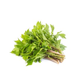 beplain Artemisia Eye Butter