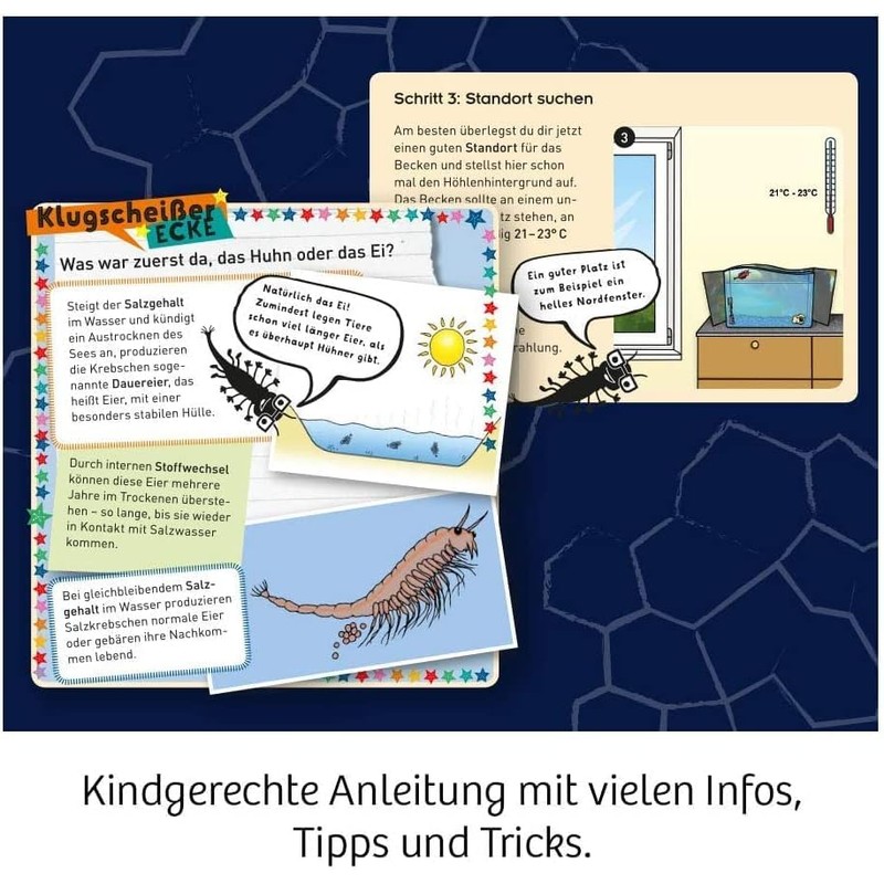 KOSMOS Fun Science [German Language Product]