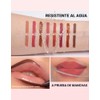Erinde Lápiz Delineador de Labios en tono Crema Mate,Larga Duración,