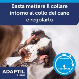 ADAPTIL Calm Beruhigendes Halsband für Hunde, Größe M/L, mittelgroße und große Hunde, beruhigende Pheromone, Stressabbau für hyperaktive, ängstliche Hunde, Entspannung für Hunde, Reisen und stressige