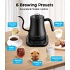 Gooseneck Electric Kettle with Temperature Control, 27oz/0.8L Fast Heat Electric