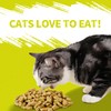Just Try 13.4 OZ Cat Multivitamin Crunchy Chews Treats for