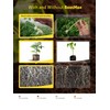 RootMax - Mycorrhizal Fungi (75 g/2.64 oz) | Rooting Powder