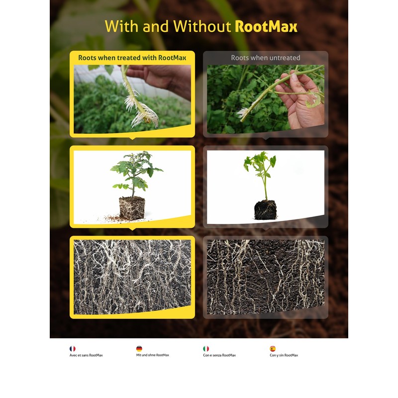 RootMax - Mycorrhizal Fungi (75 g/2.64 oz) | Rooting Powder
