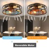 HUEOCZW 20" Caged Ceiling Fan with Light and Remote，Bladeless Ceiling