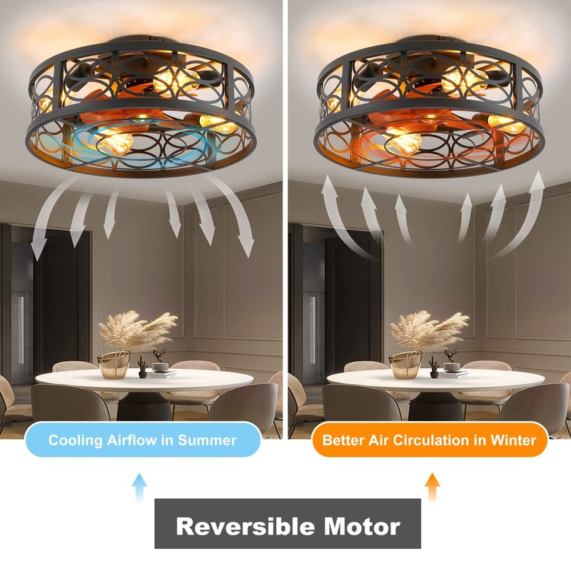 HUEOCZW 20" Caged Ceiling Fan with Light and Remote，Bladeless Ceiling
