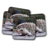 4 Set - Adorable Hedgehog Backed Drinks Coaster - Cute