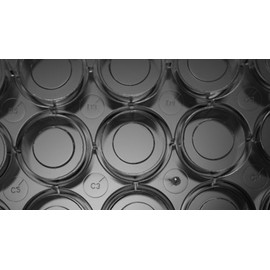 Sterile 6 Well Glass Bottom Cell Culture Plate - Glass Dia. 20mm