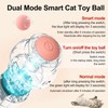 Furry Tao's Interactive Cat Ball Toy, Intelligent Indoor Automatic Moving