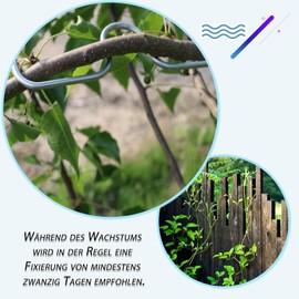 MAEXUS® Branch Puller Holder, Pack of 30 Branch Supports for Fruit Trees, Tree Puller for Fruit Trees, M Shaped Spreader Branch Clips Metal Fruit Tree Separator for Garden