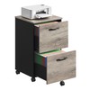 VASAGLE 2-Drawer File Cabinet, Small Rolling Filing Cabinet for Home