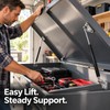 2 Pack 15.7 Inch Gas Spring Struts, Steel Lift Supports