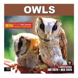 RED EMBER Select - Owls Mini 2025 Wall Calendar 12 Month | 7" x 14" Open | Thick & Sturdy Paper | Giftable Birds Calendar 2025 | Animal Calendar 2025 | Mini Wall Calendar 2025
