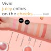 A'PIEU JUICY-PANG JELLY BLUSHER (RD01) - Velvety finish - Easy