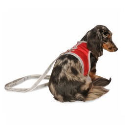 My Canine Kids Athletic Mesh Dog Harness for Teacup, Teacup 1 - Small Dogs and Puppies | Reflective Trim and Comfortable Velcro Closure