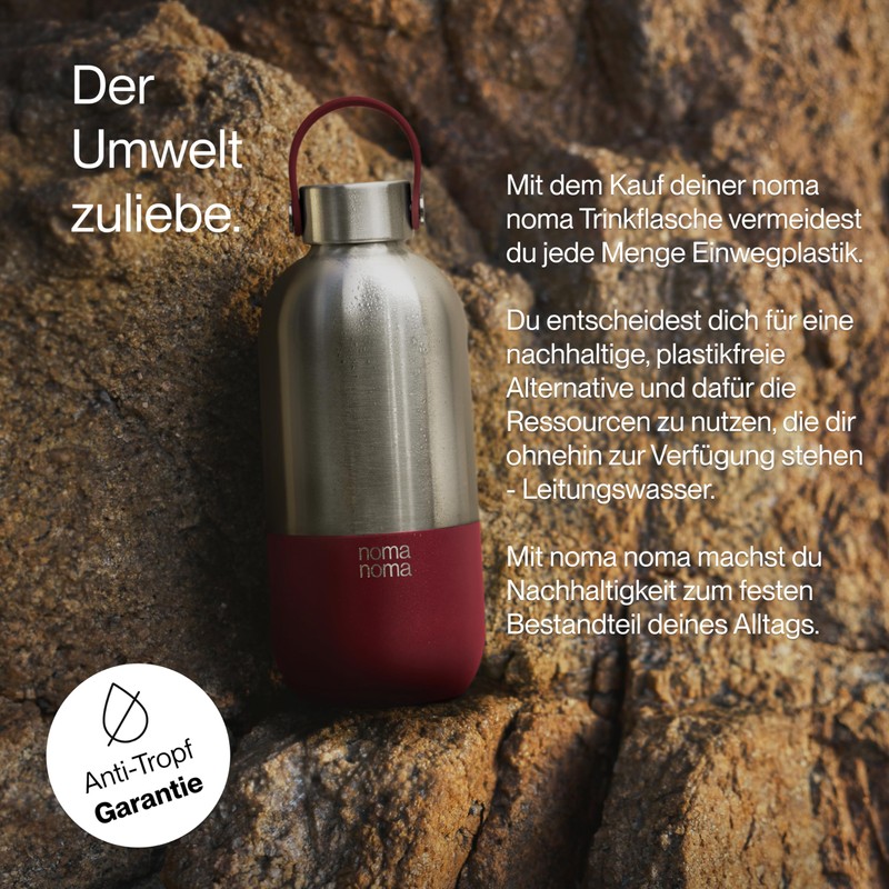 noma noma Stainless Steel Drinking Bottle, Suitable for Carbonated Drinks,