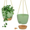 ZMTECH 10 Inch Hanging Planters for Indoor Outdoor Plants, 2