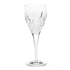 Waterford Crystal Lismore Nouveau Goblet