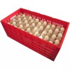 RITE FARM PRODUCTS EGG TRAY CARTON TRANSPORT CRATE CHICKEN SHIPPING