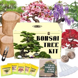 EquSym Bonsai Tree kit - 5 Types Bonsai Tree Growing Set for Starter, Bonsai Tools Kit with Soil, Pots, Scissor, Plant Makers, Grow Bonsai Tree Indoor, Bonsai Beginner Kit Plant Gifts for Men, Women