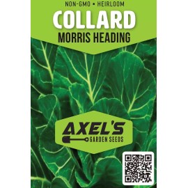 Axel's Garden Seeds Morris Heading Collard Seeds | Non-GMO | Heirloom | Fresh Garden Seeds - 200 Seeds