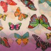 Bedazzled Purple and Cream Fade with Multicoloured Butterfly Patterned Print