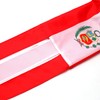 2 Pack Peru Peruvian WindSock Flag,Stripes Wind Socks For Yard