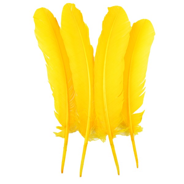 Touch of Nature 4-Piece Turkey Feather for Art and Craft,