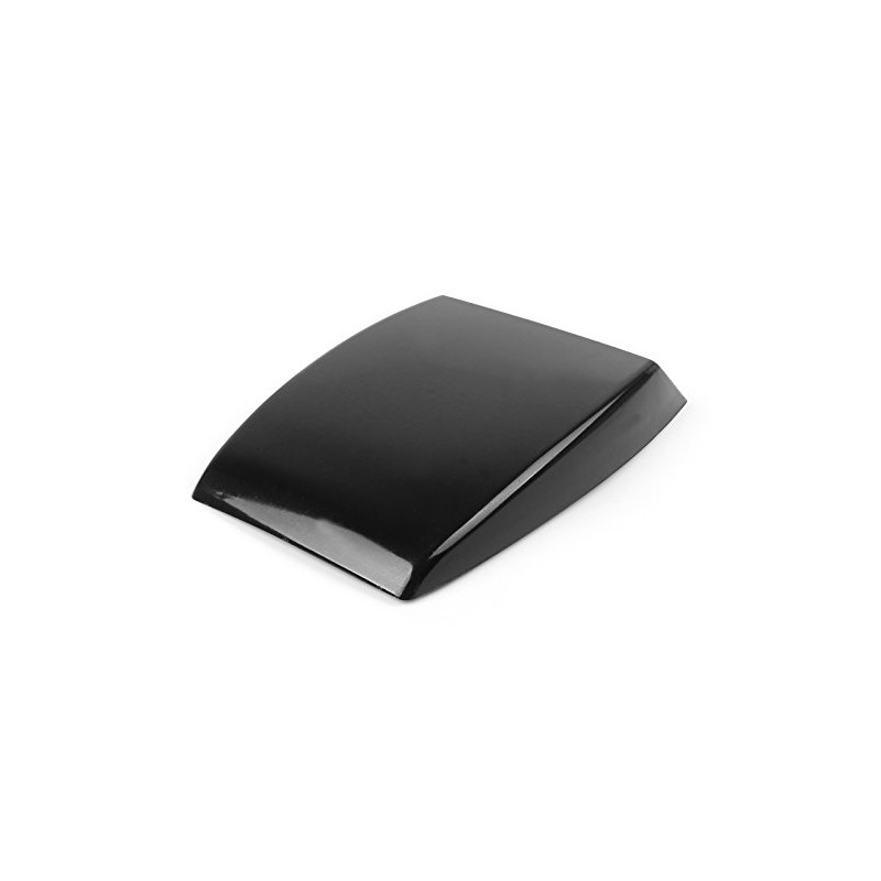 Bruce & Shark Car Universal Air Flow Intake Scoop Hood