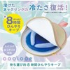 Cogit COOLOOP Cooler Case ex (Includes Ice Pack), Blue Gray