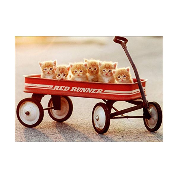 Avanti Press Six Kittens in Red Wagon Cute Cat Get