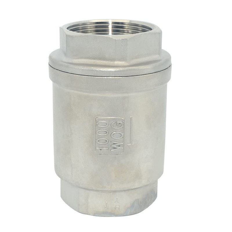 Dsmpipeft NPT Female WOG1000 Check Valve,Vertical Check Valve,NPT Spring Loaded