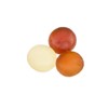 Kasugai Japanese Gummy Candy Variety Pack, 8 Flavors in Sprout