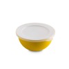 Omada Sanaliving Design Bowl (0.5 Litres) with Polypropylene Lid and