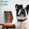Beanspet Dog Collar, Dog Collar, Basic Belt, Genuine Leather, Dog