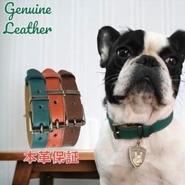 Beanspet Dog Collar, Dog Collar, Basic Belt, Genuine Leather, Dog Collar, Leather, Classic, Dog Collar (L, Green)