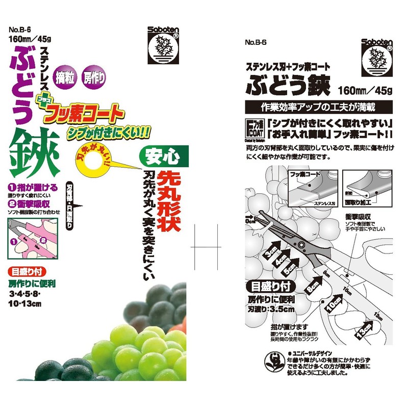 Cactus Round Point fluorine coat Grape Shears B – 6