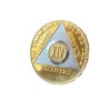 2 Year AA Medallion Gold How Bi-Plate Sobriety Chip