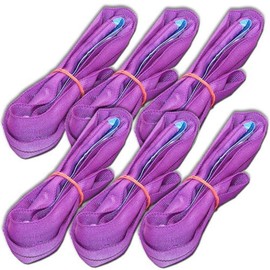 ENorm1492-2 Professional Round Slings 1 m Circumference Lifting Straps Lifting Slings Purple (Set of 4)