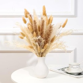 Natural Dried Pampas Grass Bouquet, Bunny Tails Dried Flowers - Fluffy Boho Home Decor Perfect as a Warm Gift, Rural Farmhouse Party, Living Room, Entry Way Table Home Decor, and Wedding Decor (100)