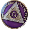 Ranger Industries 20 Year AA Medallion Metallic Purple Tri-Plate Sobriety