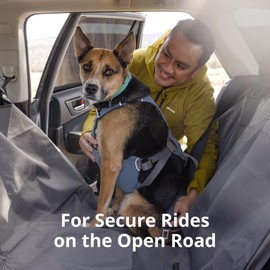 Ruffwear, Load Up Dog Harness, Strength-Rated Car Safety Harness with Universal Seat Belt Attachment, Slate Blue, XX-Small