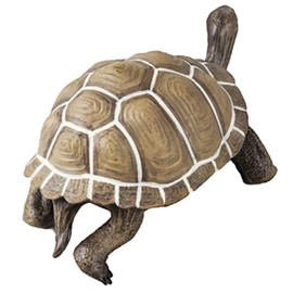 KOMBIUDA Turtle Model Figurine Realistic Tortoise Decoration for School Projects Ocean Themed Parties Home and Desk Decor