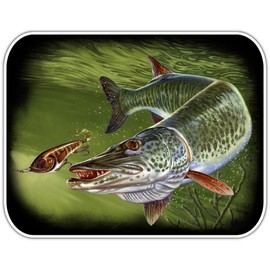 Pike Sticker Musky Sticker Fishing Sticker - Freshwater Wildlife Car Bumper Vinyl Fish Sticker Decal for Vehicles Boats Laptops Windows Skateboards and Luggage Stickers for Men and Women 5"X4" sr39
