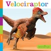 Velociraptor (Seedlings Dinosaurs)