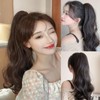 HAPVITAL Ponytail Point Wig Curly Long Ponytail Curly Hair 21.7
