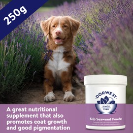 Dorwest Kelp Seaweed Powder 250g, Natural Multivitamin Powder for Dogs and Cats – Natural Mineral Supplement for Coat Growth and Pigmentation