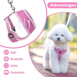 PUPTECK XXS Dog Harness and Leash Set, Lightweight Puppy Vest, Reflective Adjustable Cat Harness Escape Proof, No Pull for Outdoor Walking