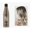 Salerm Shampoo Cabellos Blancos 500ml Con Extracto De Bambú